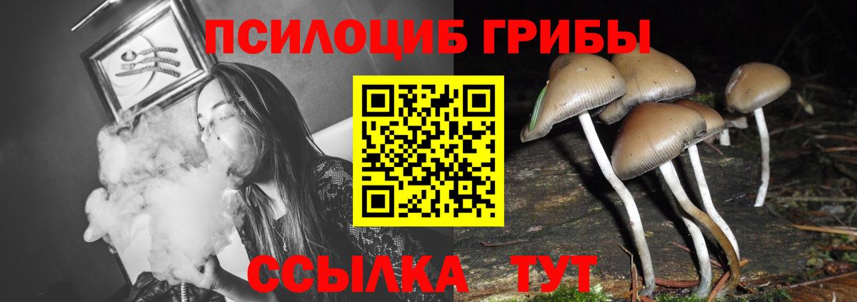 Галлюциногенные грибы Cubensis  Псилоцибиновые грибы Psilocybe  Вход с VPN  Учалы 